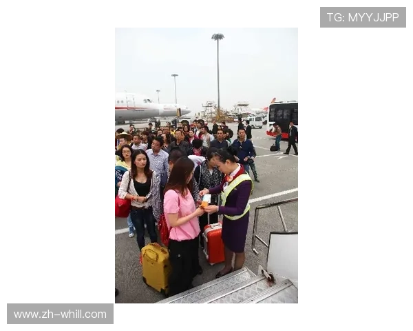 动态票务系统优化上座率，AI定价模型降低运营成本